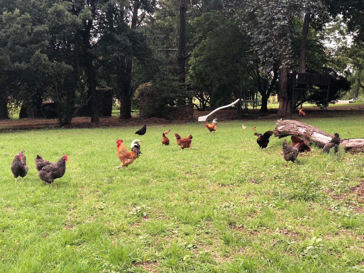 Tegwaan Country Getaway Waterval Boven Exterior foto